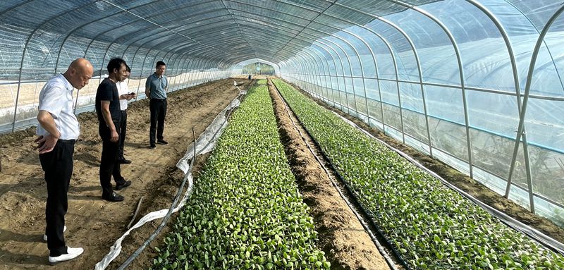 縣人民法院院長陳凱到五谷廟村調(diào)研鄉(xiāng)村振興工作