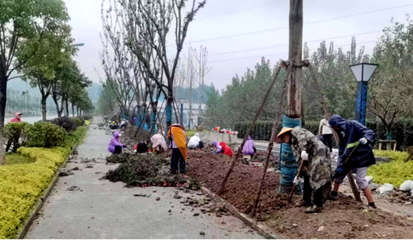 縣住建局：借雨保墑 冒雨作業(yè) 營造節(jié)日氛圍再加速