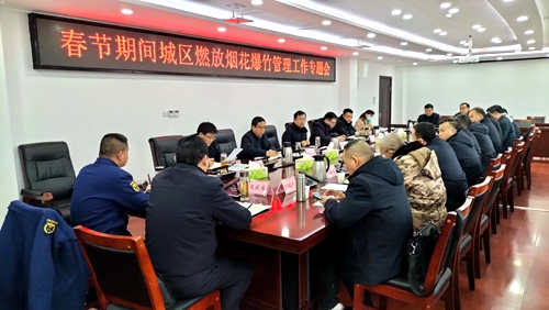 楊丹華要求：安全文明有序燃放煙花 安定歡樂(lè)祥和歡度春節(jié)