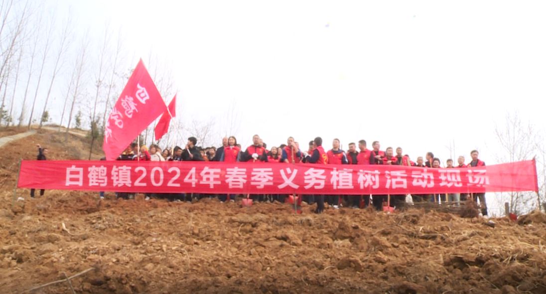 白鶴鎮(zhèn)：植樹節(jié)里種樹忙 點點生機添新綠