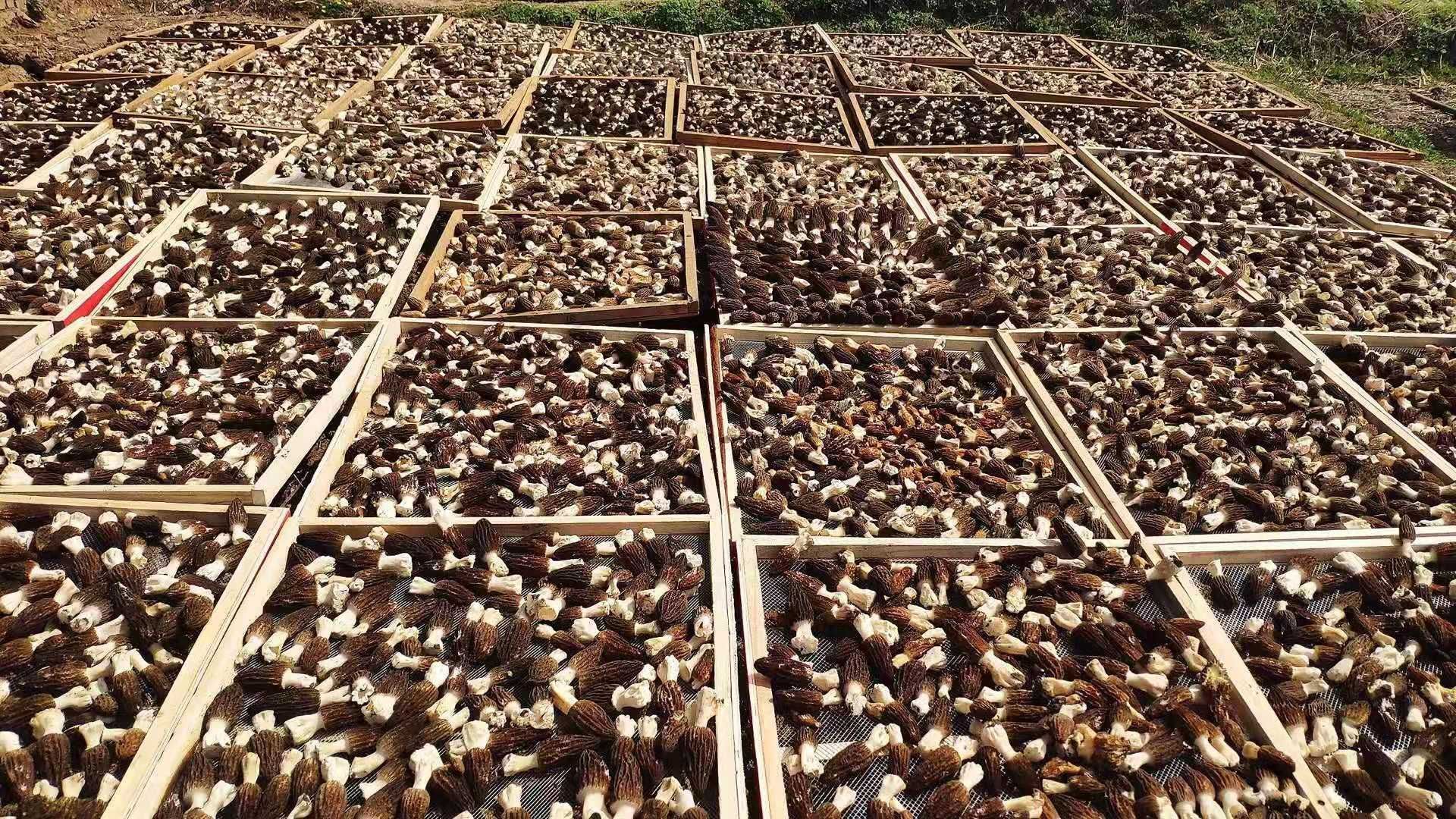 GDP增長(zhǎng)9.4%！房縣實(shí)現(xiàn)一季度“開(kāi)門(mén)紅”