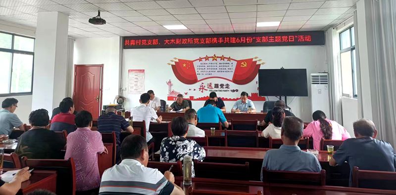 房縣大木廠鎮(zhèn)財(cái)政所：支部攜手共建 竭誠為民服務(wù)