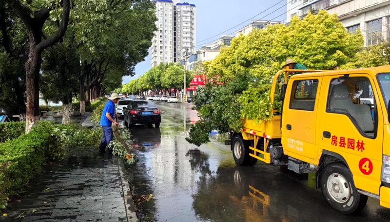 縣住建局：扶正倒伏樹木 扮靚城市環(huán)境
