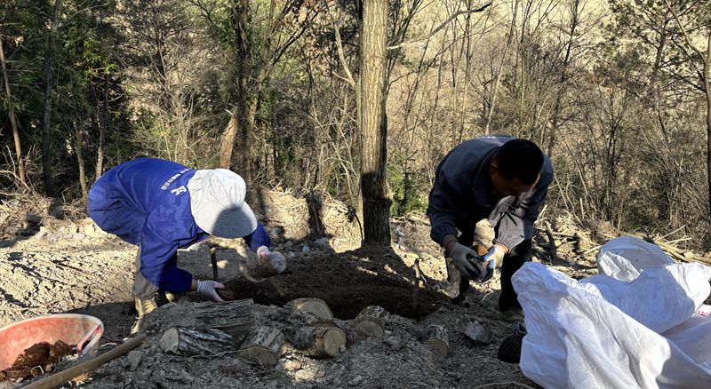 九道鄉(xiāng)咸池溝村：發(fā)展天麻  種下希望