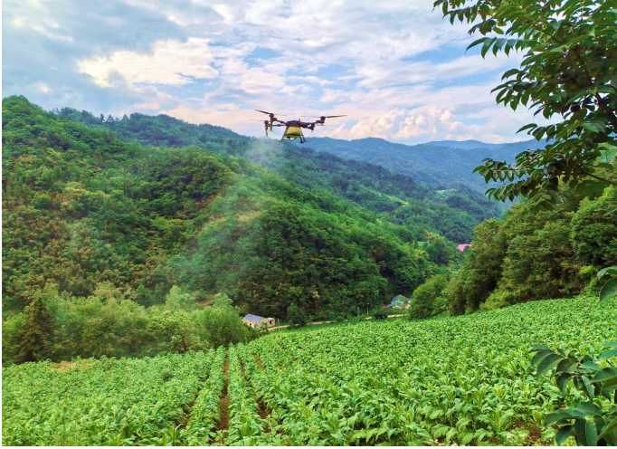 房縣：煙農(nóng)“好幫手”解鎖植?！靶伦藙?shì)”