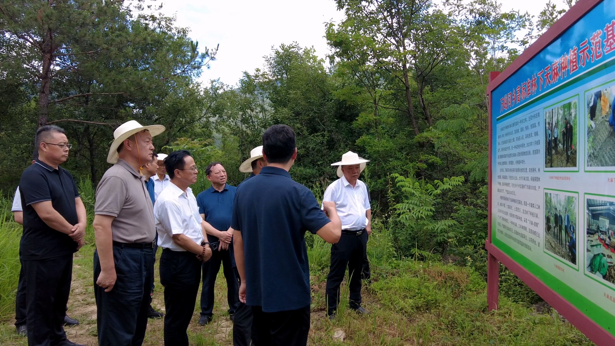 市人大常委會(huì)調(diào)研組來房調(diào)研林下經(jīng)濟(jì)產(chǎn)業(yè)發(fā)展情況