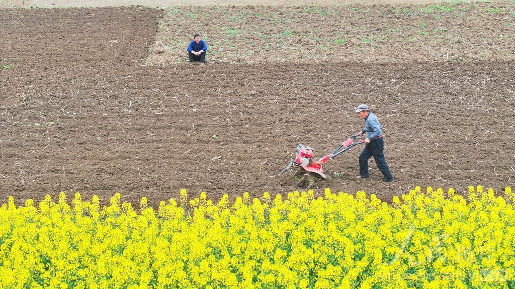 湖北房縣：小“鐵?！敝焊? width=