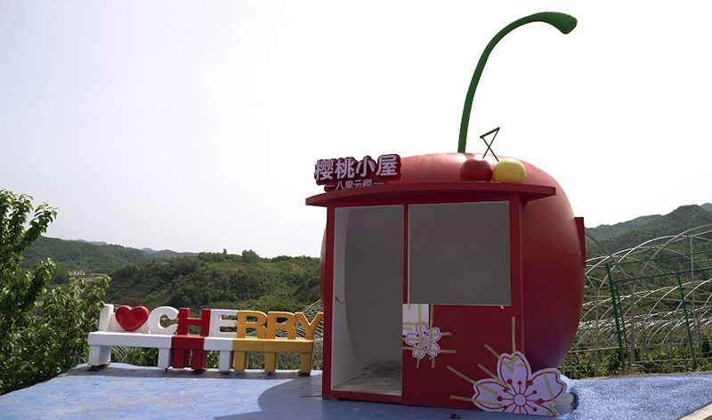 城關鎮八里村櫻桃園煥新迎客 櫻桃節本周日浪漫開幕