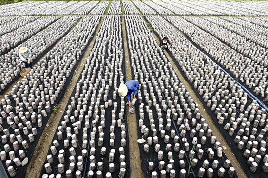 決戰(zhàn)精準扶 實現同步小康
