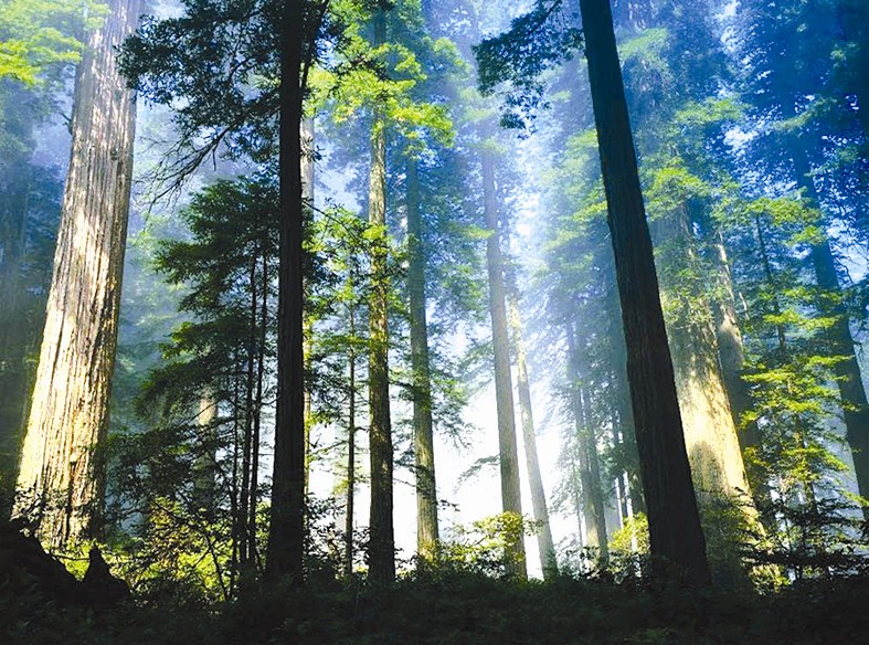 人杰地靈 物華天寶