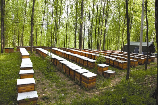 做大綠色增量聚合綠色能量