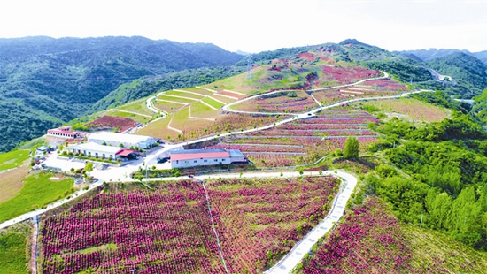 滿懷豪情寫(xiě)華章 千年古鎮(zhèn)展新姿