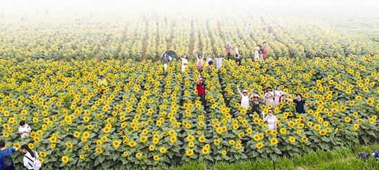 美麗古鎮(zhèn)換新顏