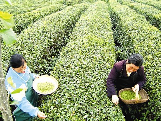 櫛風(fēng)沐雨促大興