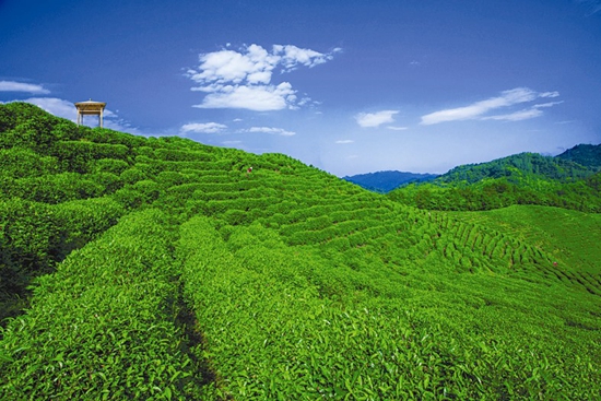 真抓實干書錦繡