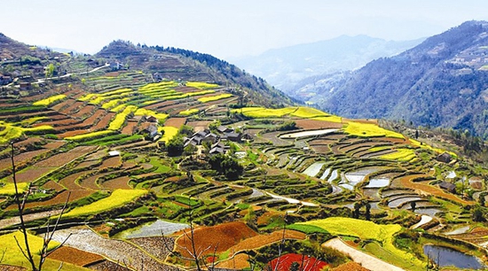 香菇小鎮(zhèn)溢芳香