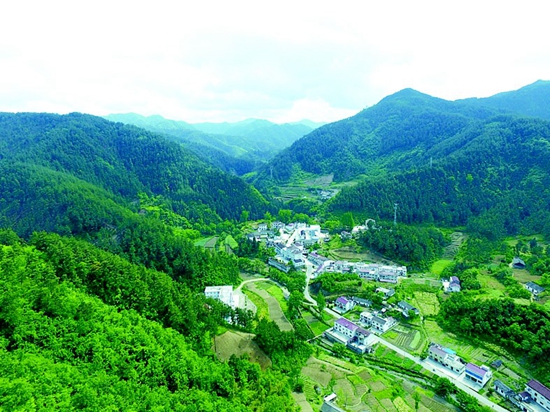 綠染山川惠萬民