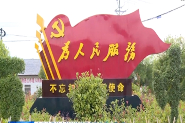 【黨旗飄飄】董強：抓黨建促產業發展 謀未來促鄉村振興