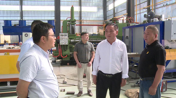 丁選清深入企業開展下基層察民情解民憂暖民心實踐活動