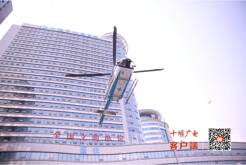 微信圖片_20241013172942