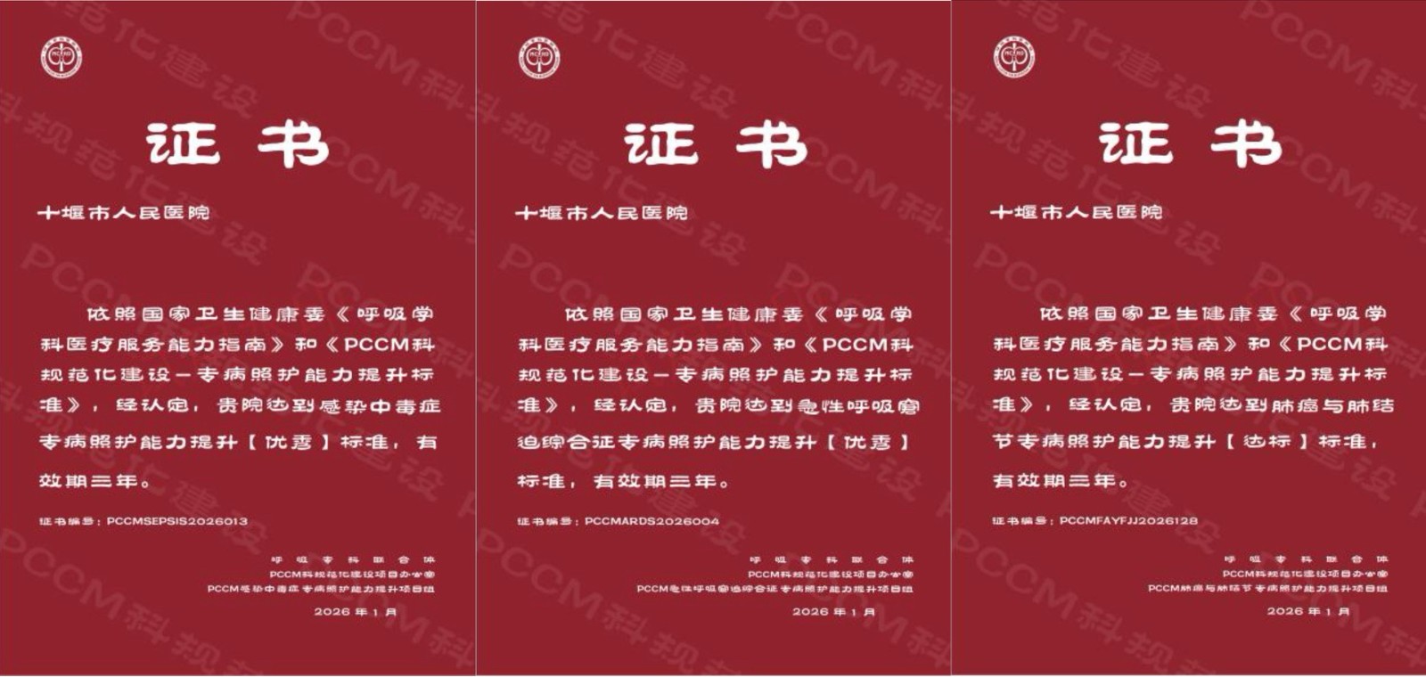 十堰人醫(yī)呼吸與危重癥醫(yī)學(xué)科斬獲國家級榮譽(yù)