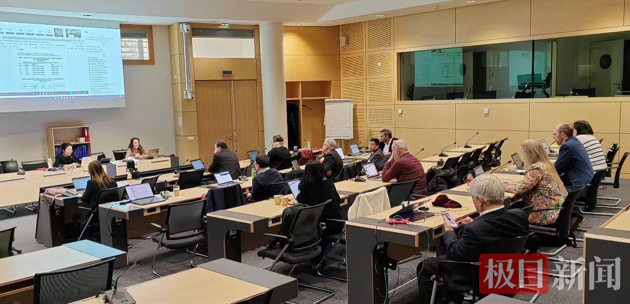 湖北“十大楚藥”艾葉，被歐洲藥典“看中”了！十堰專家推動(dòng)納入標(biāo)準(zhǔn)研究計(jì)劃